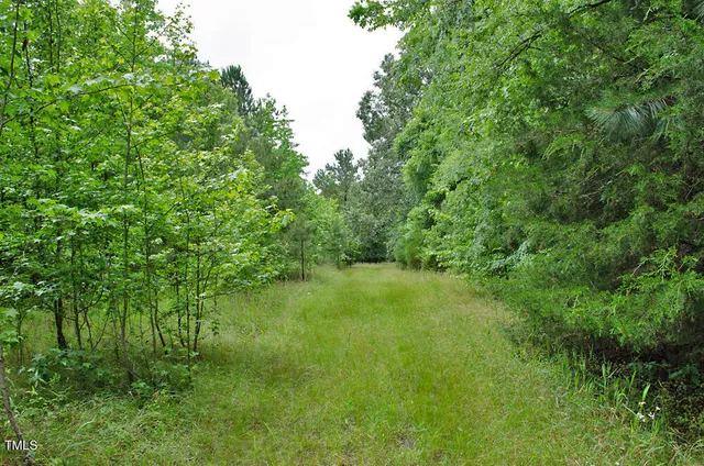 a view of an outdoor space and a yard