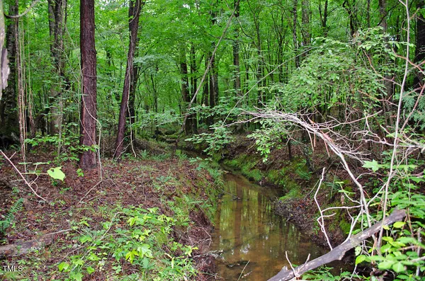 a view of a lake with a tree
