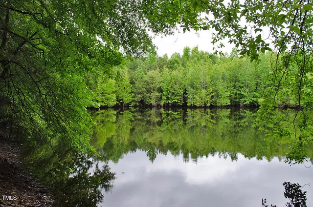 a backyard of a house with lots of green space and trees