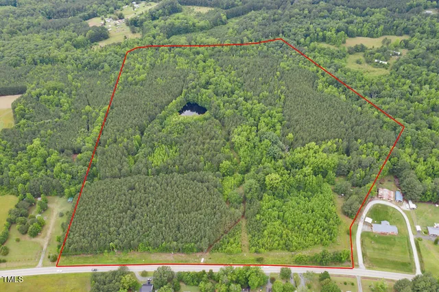 a view of a yard with plants