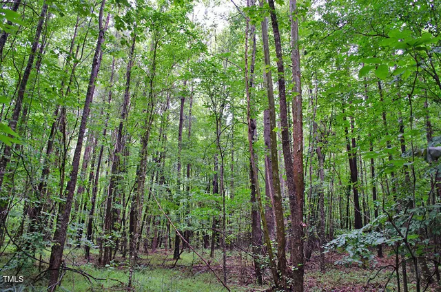 a view of outdoor space and garden