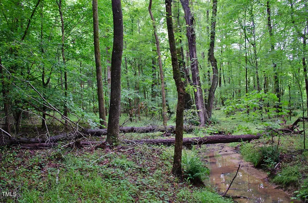 a view of green field with trees in the background