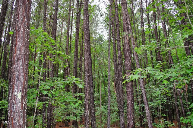 $999,000 | 3111 Old N C 75, Stem, NC 27581