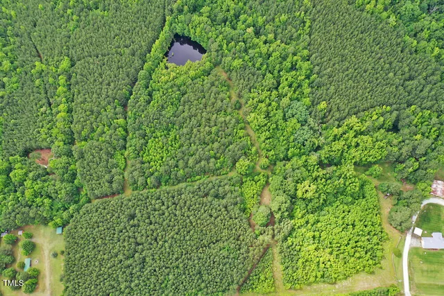 a close up of a plant in a garden