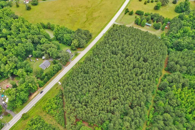 a close up of a plant in a garden