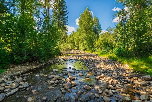 a view of a yard with a tree