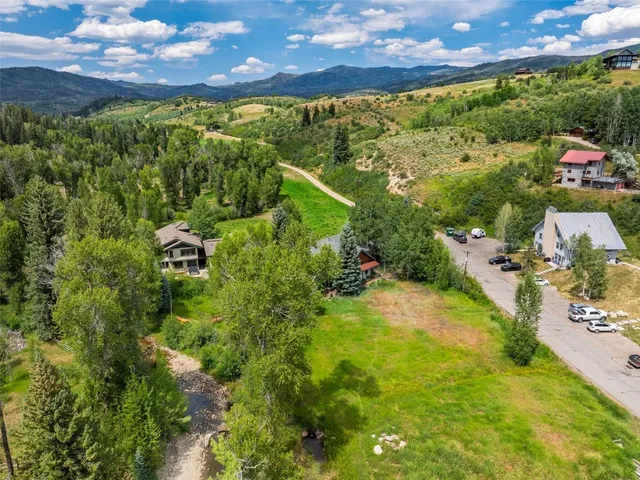 a view of a yard with plants