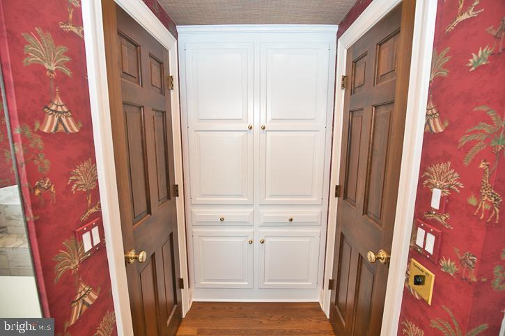 712 Riverside Pines Court Salisbury, MD 21801 - Photo 45 of 94 more storage in the master!!