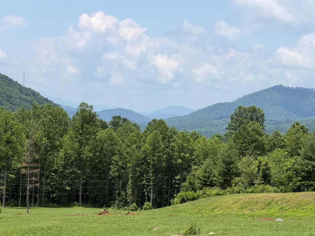 1446 Muskrat Creek Road Hayesville, NC 28904 - Photo 10 of 108