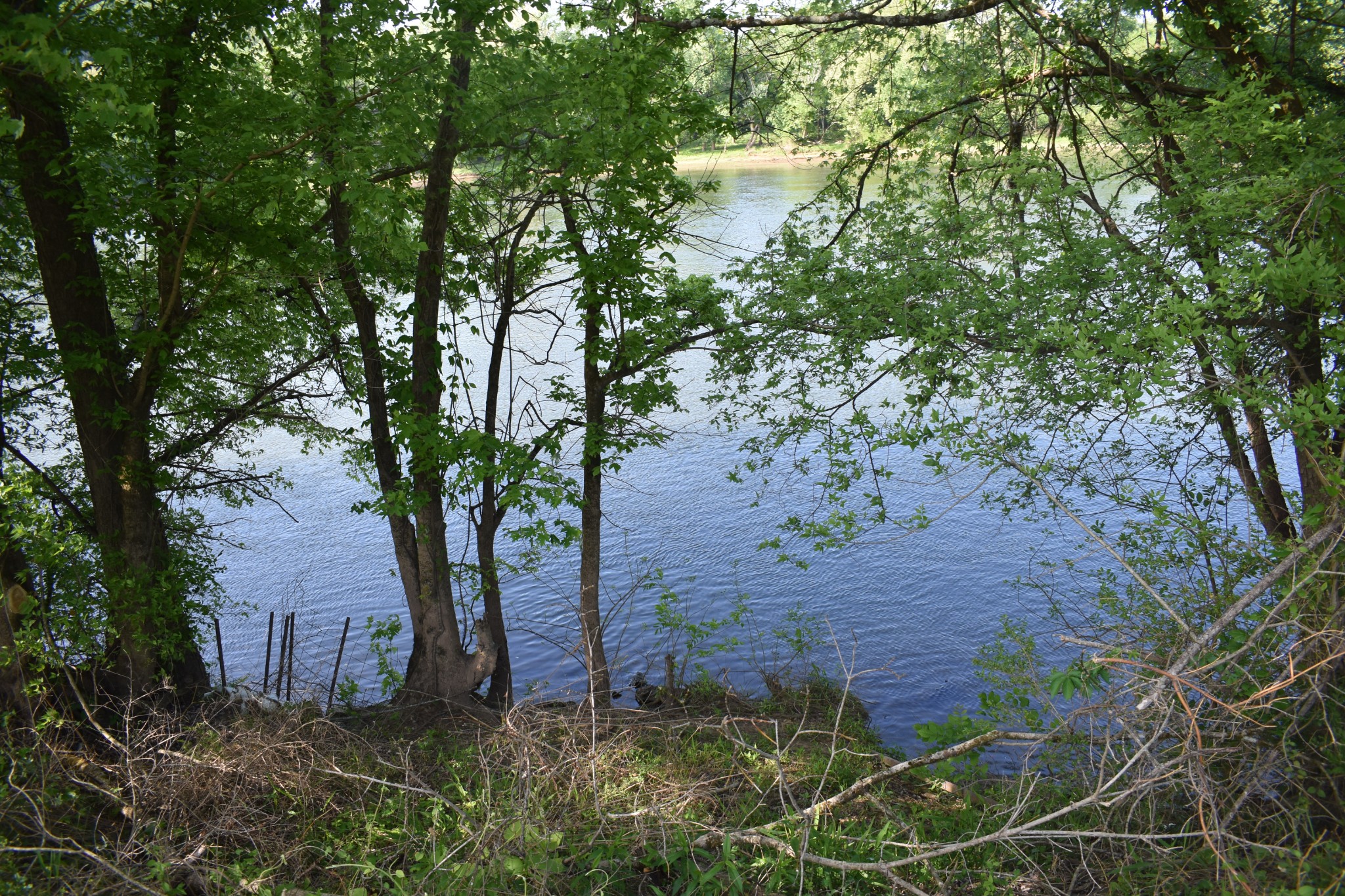 814 Upper Ferry Road Carthage, TN 37030 - Photo 6 of 16