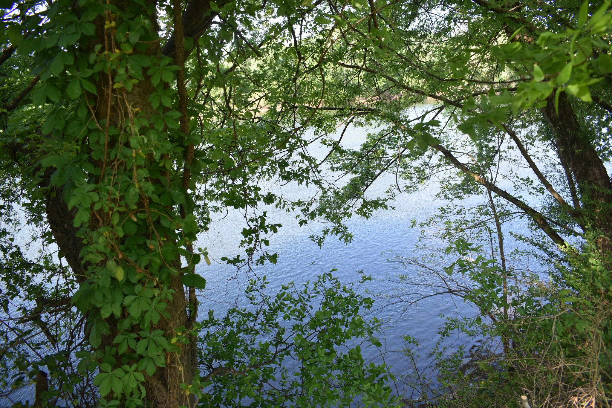 814 Upper Ferry Road Carthage, TN 37030 - Photo 7 of 16