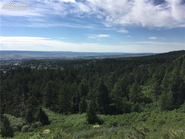 Redstone Ridge Road Monument, CO 80132 - Photo 20 of 20