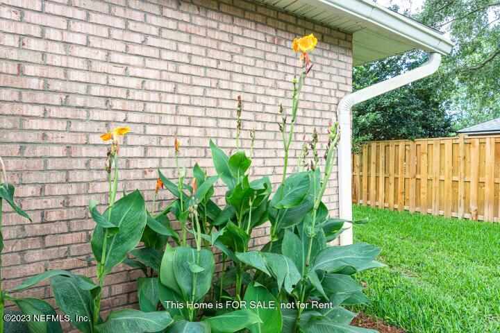 10329 Shelby Creek Road South Jacksonville, FL 32221 - Photo 38 of 41 a view of a garden with plants