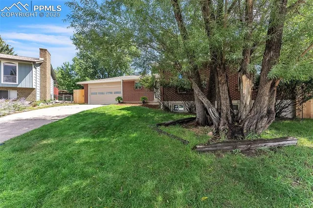 a view of a tree in front of a house
