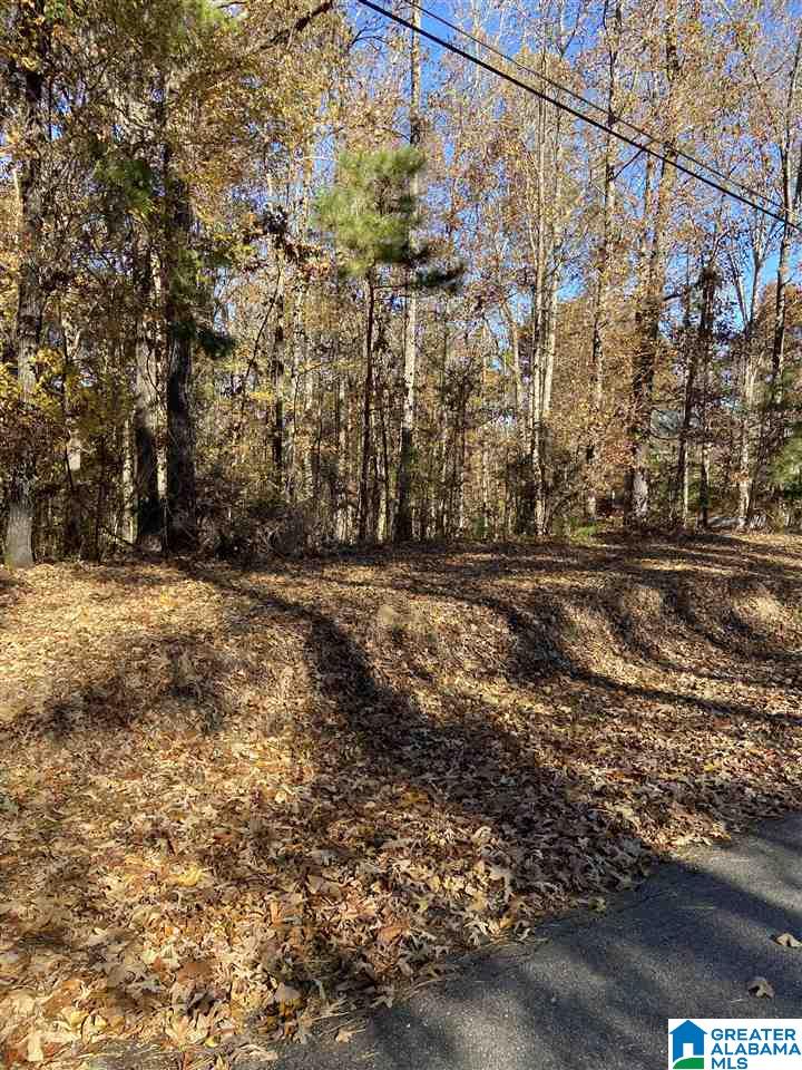 Rosser Lane, Unit 1 Bessemer, AL 35022 - Photo 1 of 5