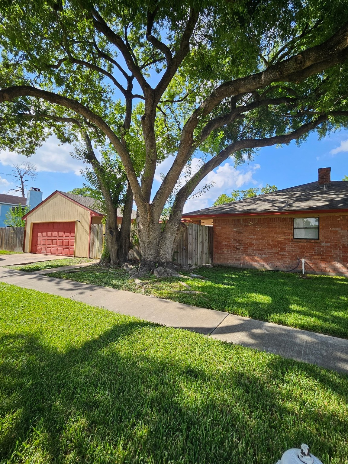 7206 Navidad Road Houston, TX 77083 - Photo 11 of 48 a view of a backyard with large tree and wooden fence