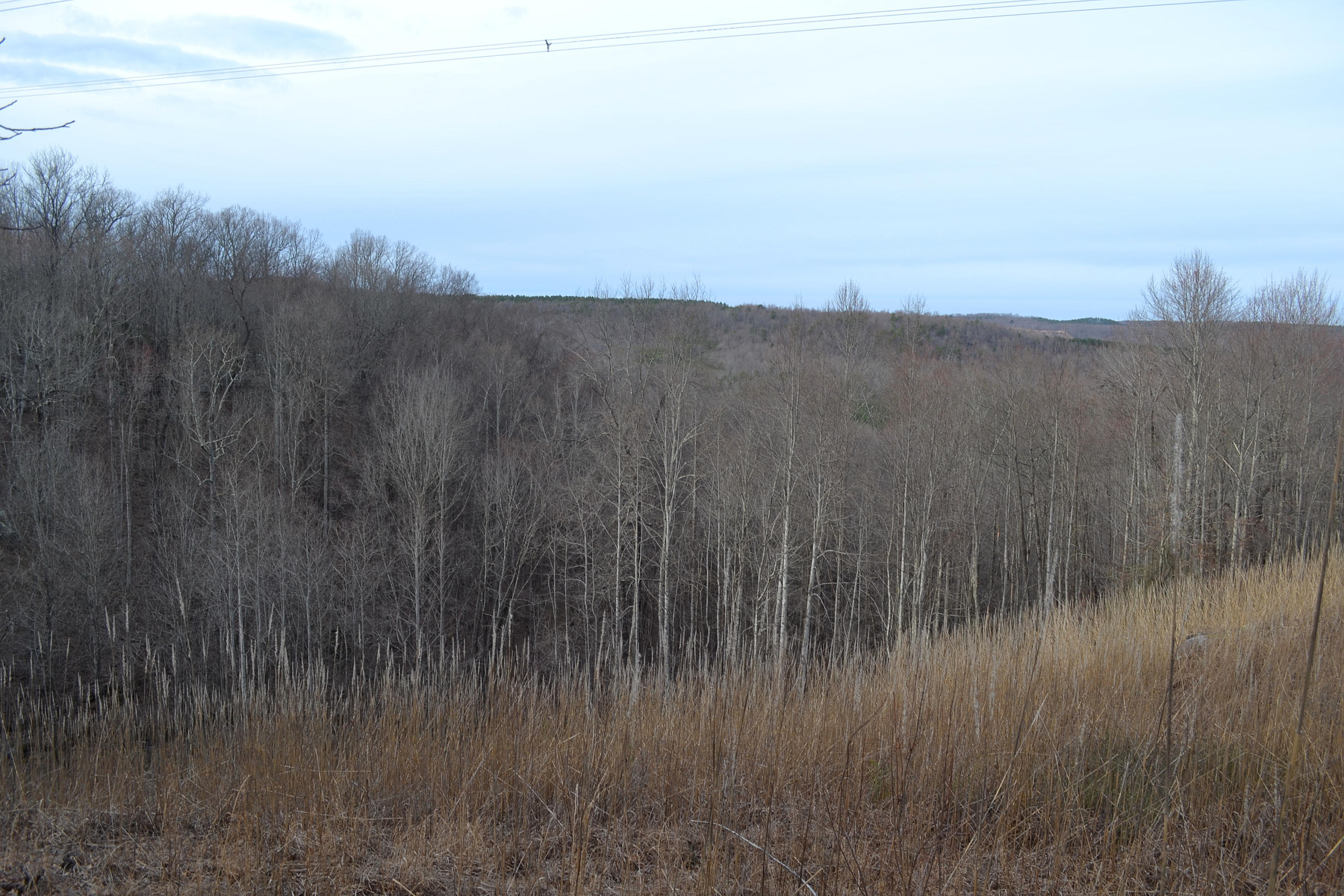 125-ac CC Road Whitwell, TN 37397 - Photo 4 of 36 Hon 224 ac_1772Hon 224 ac