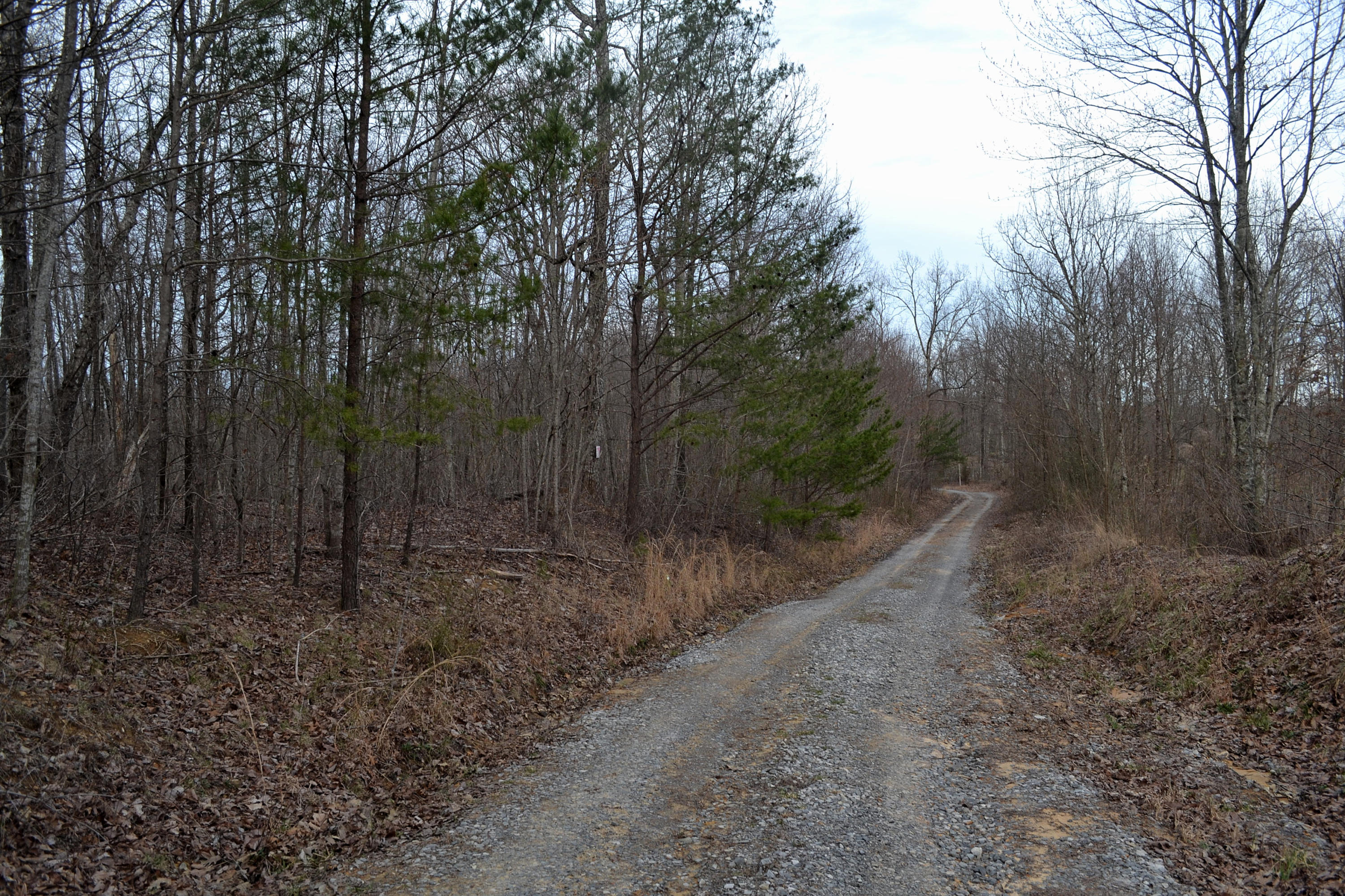 125-ac CC Road Whitwell, TN 37397 - Photo 36 of 36 Hon 224 ac_1791Hon 224 ac