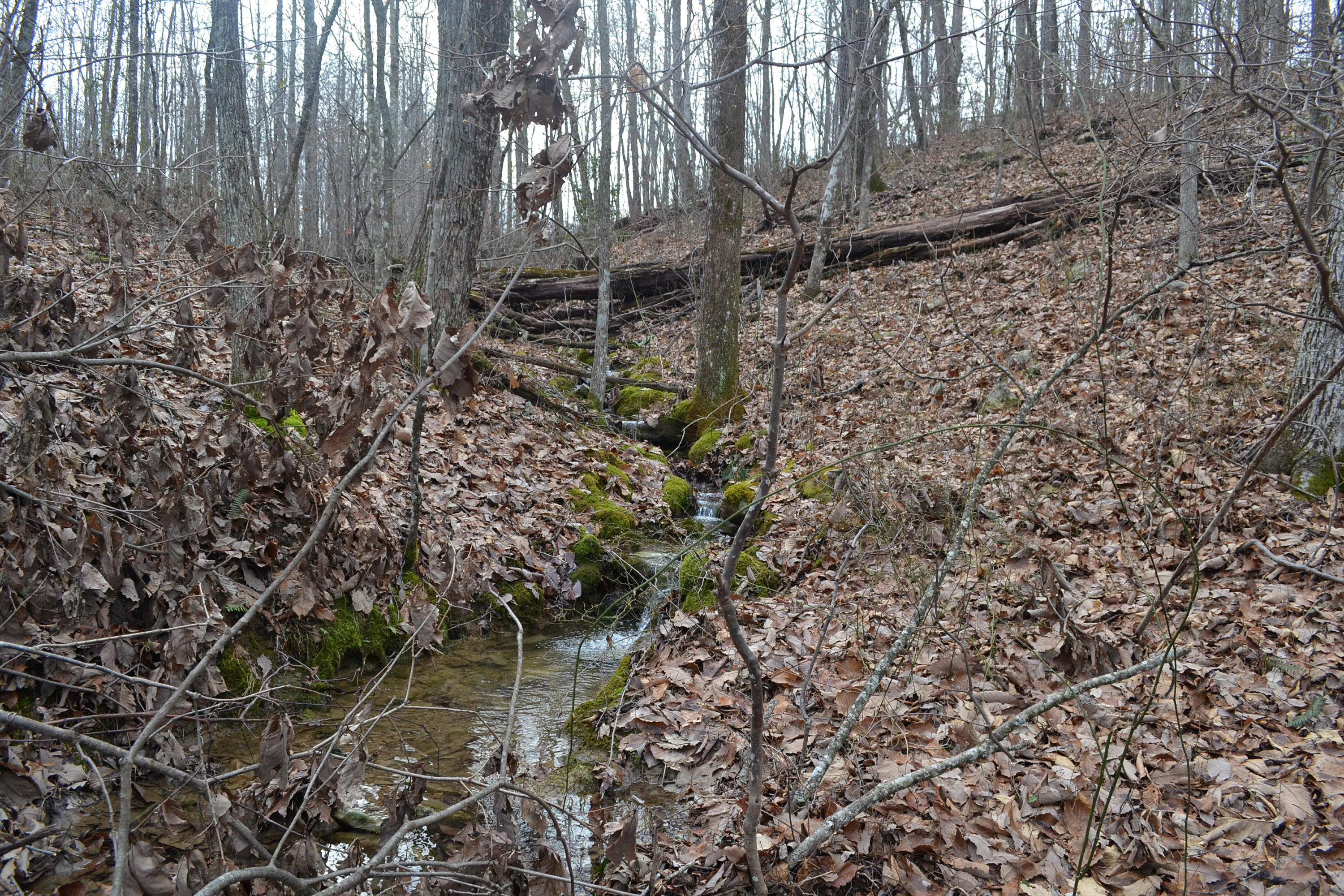 125-ac CC Road Whitwell, TN 37397 - Photo 7 of 36 Hon 224 ac_1434Hon 224 ac