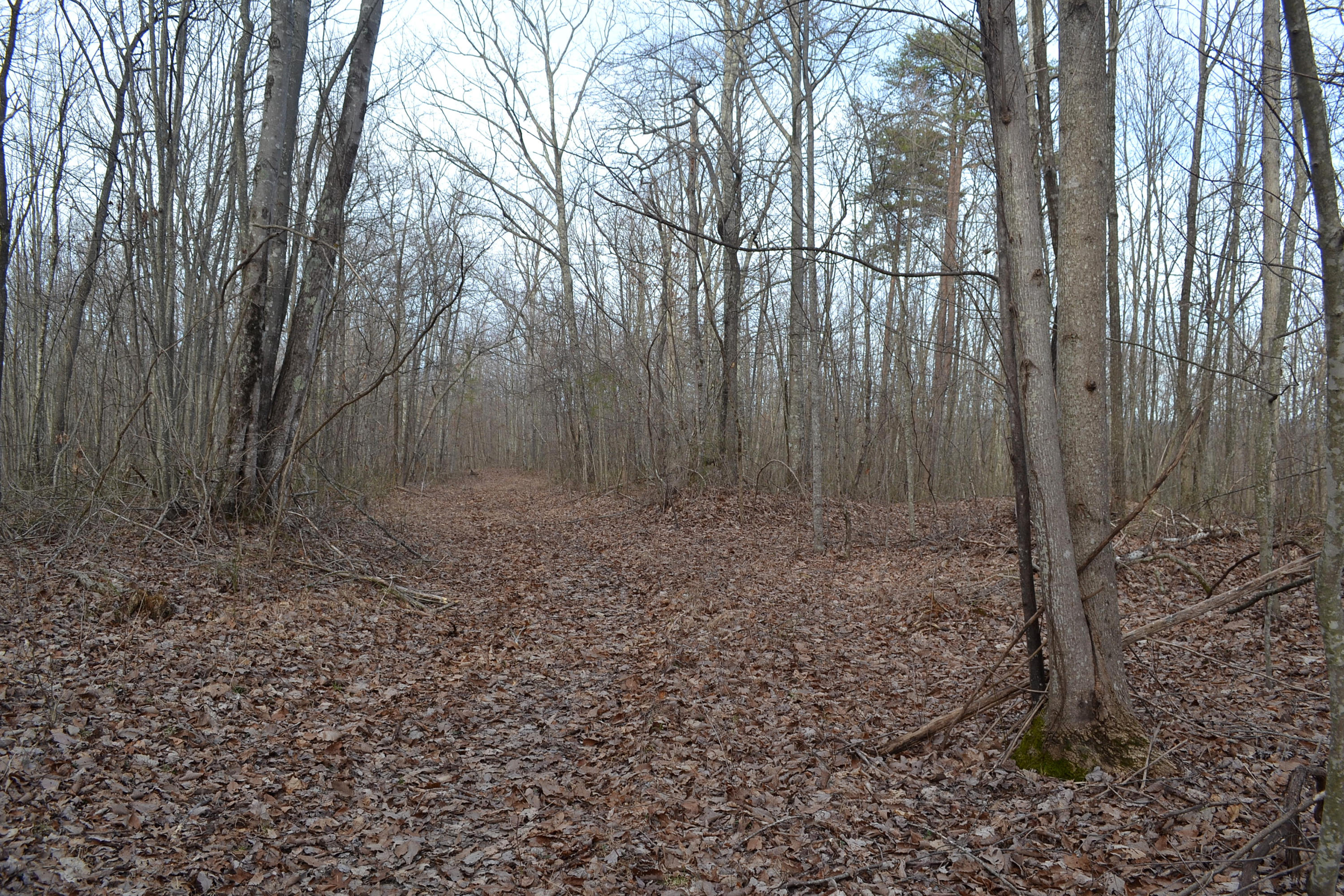 125-ac CC Road Whitwell, TN 37397 - Photo 8 of 36 Hon 224 ac_1770Hon 224 ac