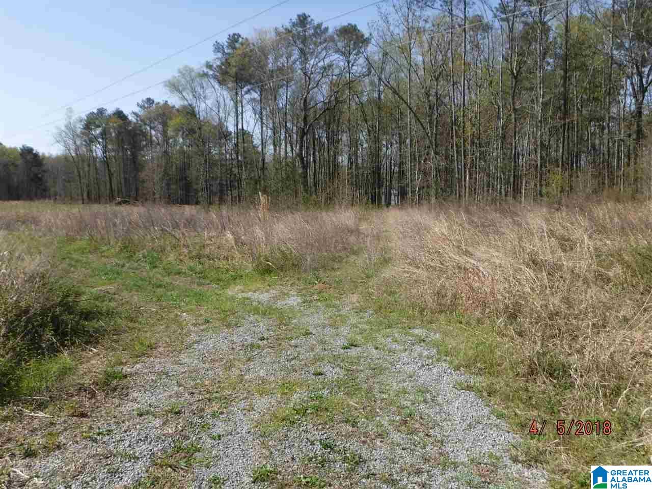 131 County Road, Unit 8 Fort Payne, AL 35967 - Photo 5 of 5