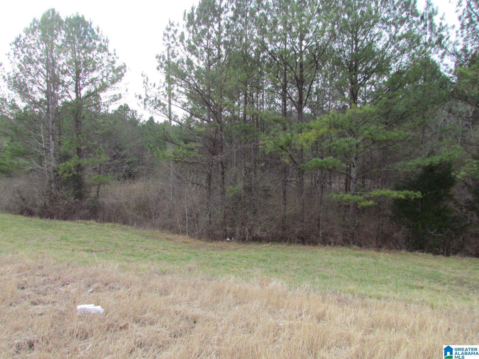 0 Highway 75 Oneonta, AL 35121 - Photo 3 of 6