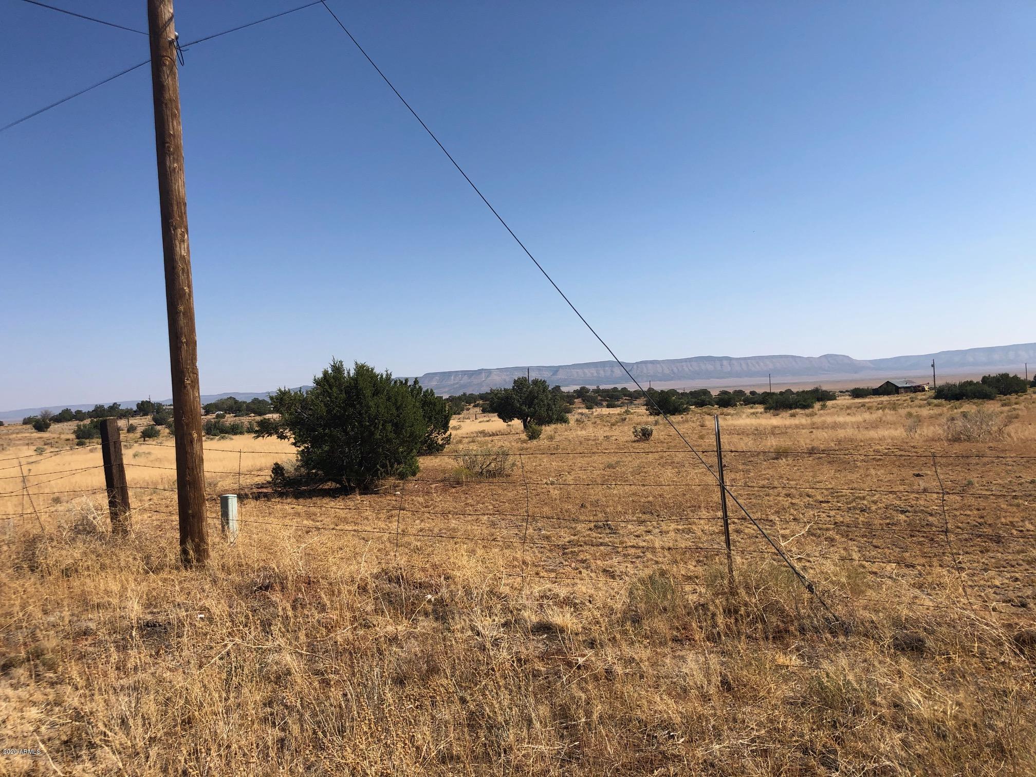500 Gypsy Girls Road Seligman, AZ 86337 - Photo 43 of 48 IMG_6349