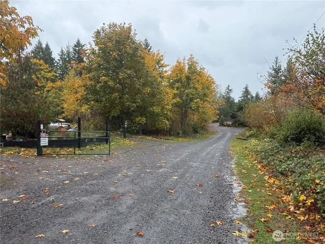 a view of a park with large trees