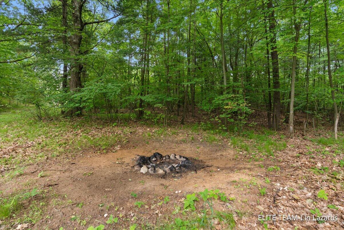 6718 Schmeid Road Lakeview, MI 48850 - Photo 46 of 58