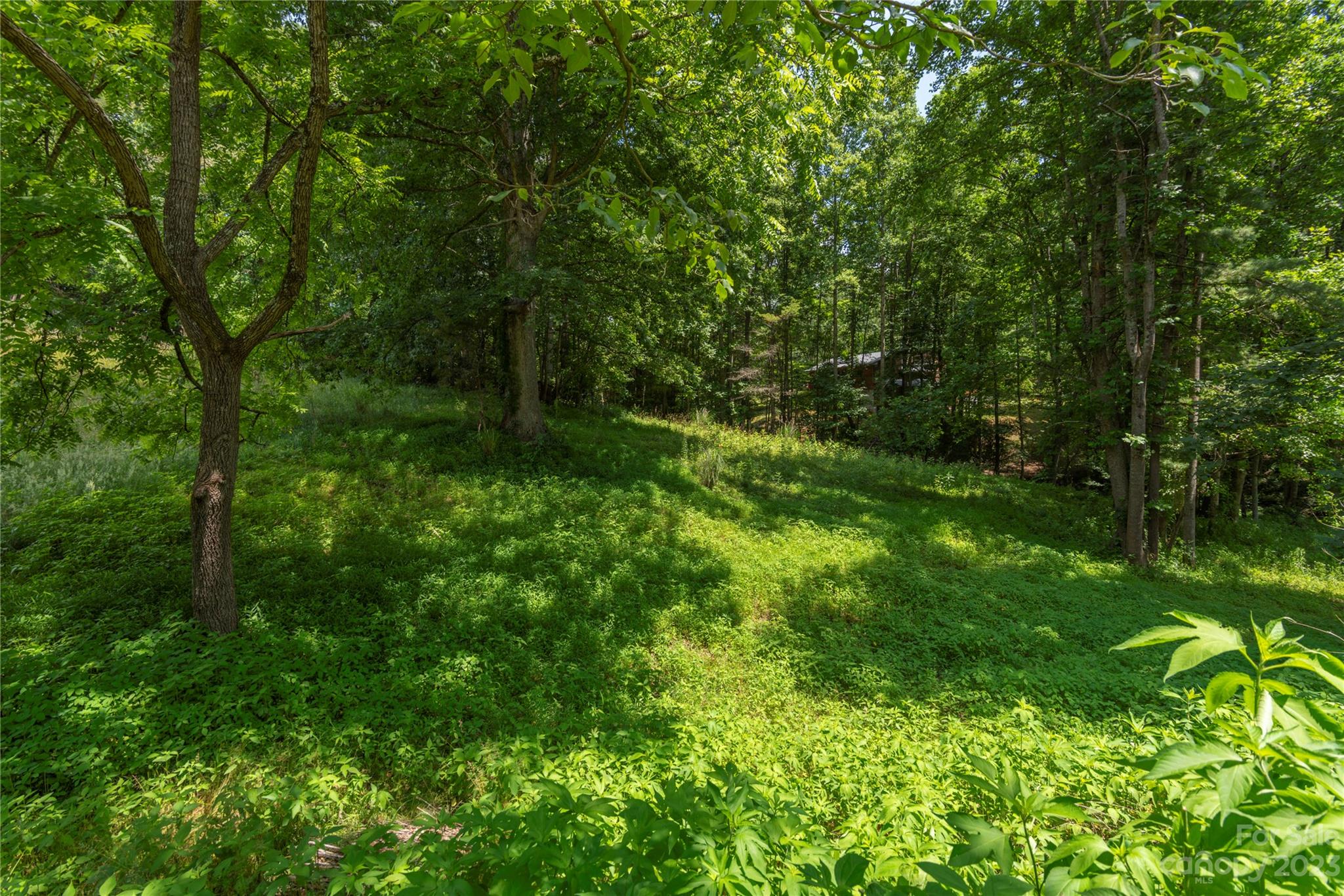 102 Pickens Road Weaverville, NC 28787 - Photo 17 of 22 Gallery Image 17