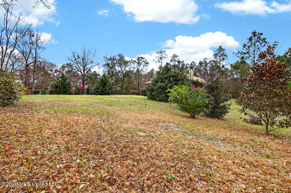 17105 Spring Lake Drive West Vancleave, MS 39565 - Photo 4 of 20 17105SpringLakeDr-5