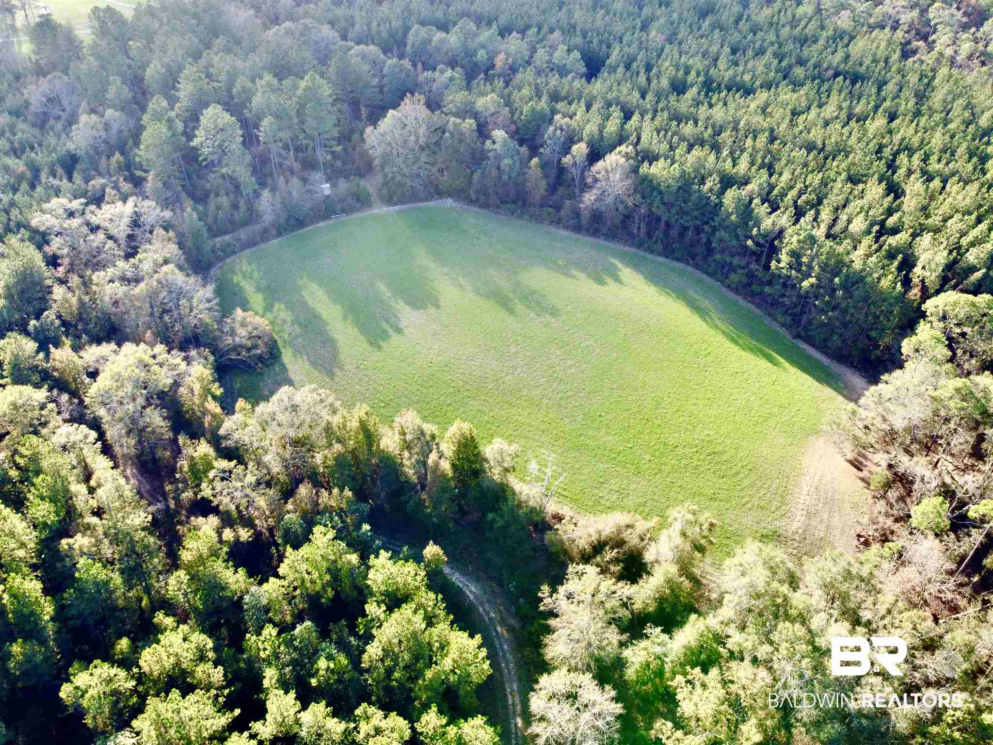 0 Whitetail Run Chatom, AL 36518 - Photo 1 of 29