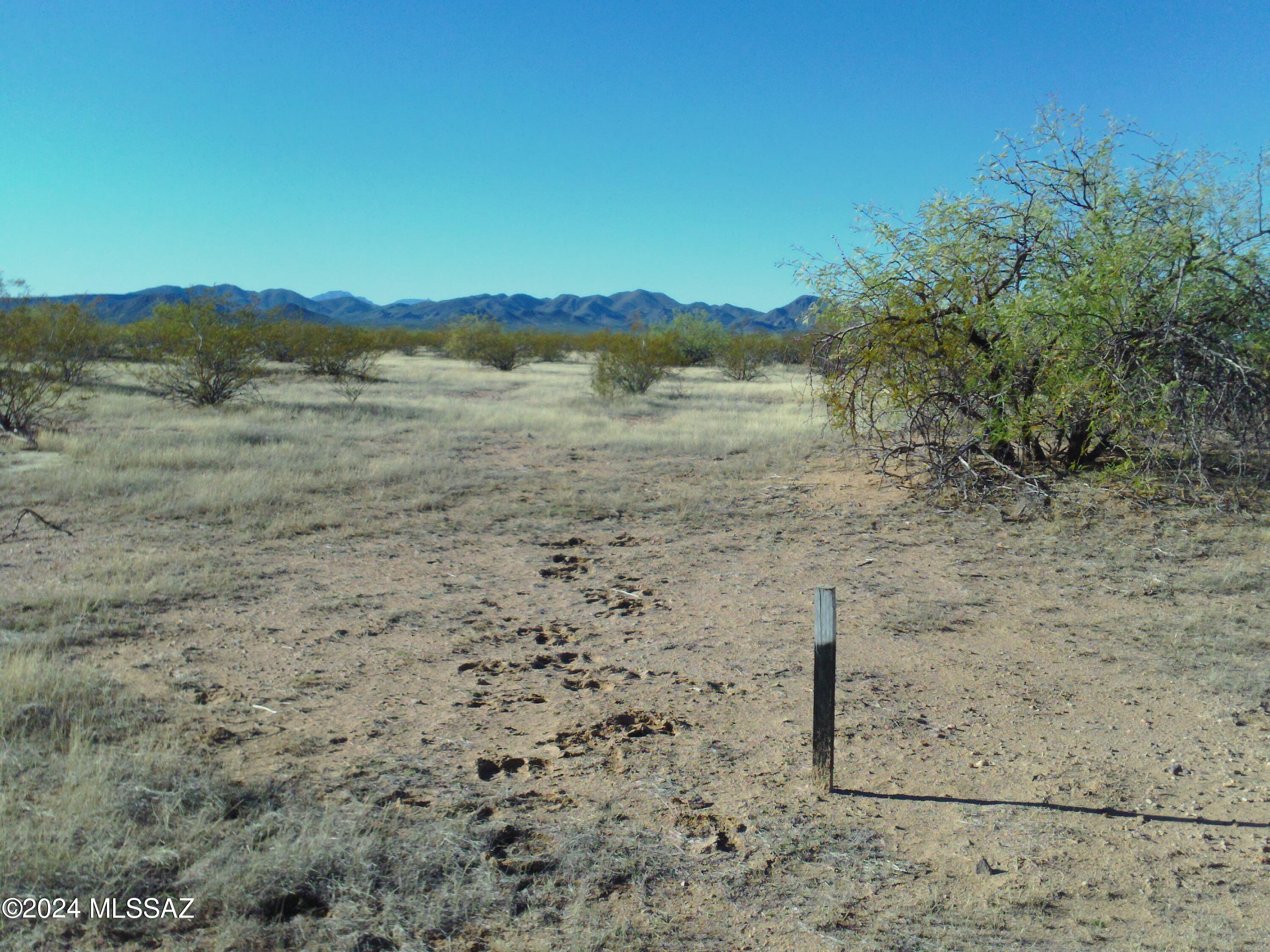 North Little Cody Road Marana, AZ 85653 - Photo 19 of 37