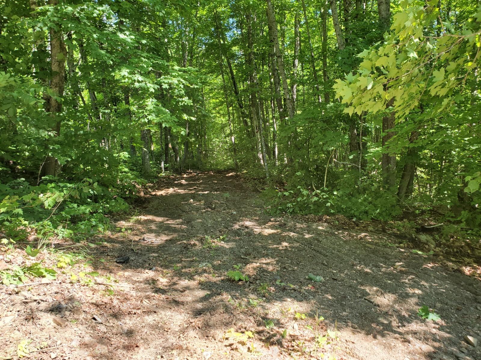 257 Brown Road Oakfield, ME 04763 - Photo 4 of 9 20210616_094114