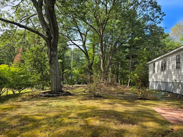 a view of a house with large trees and a small yard