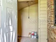 a view of a yard with plants and large trees
