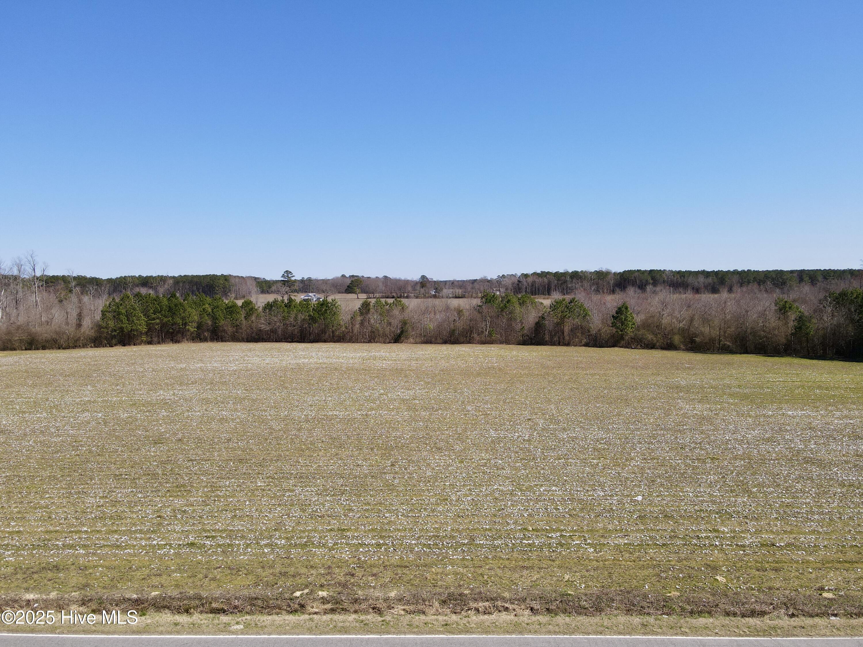 7973 Bear Grass Road Williamston, NC 27892 - Photo 6 of 9 Front of Property
