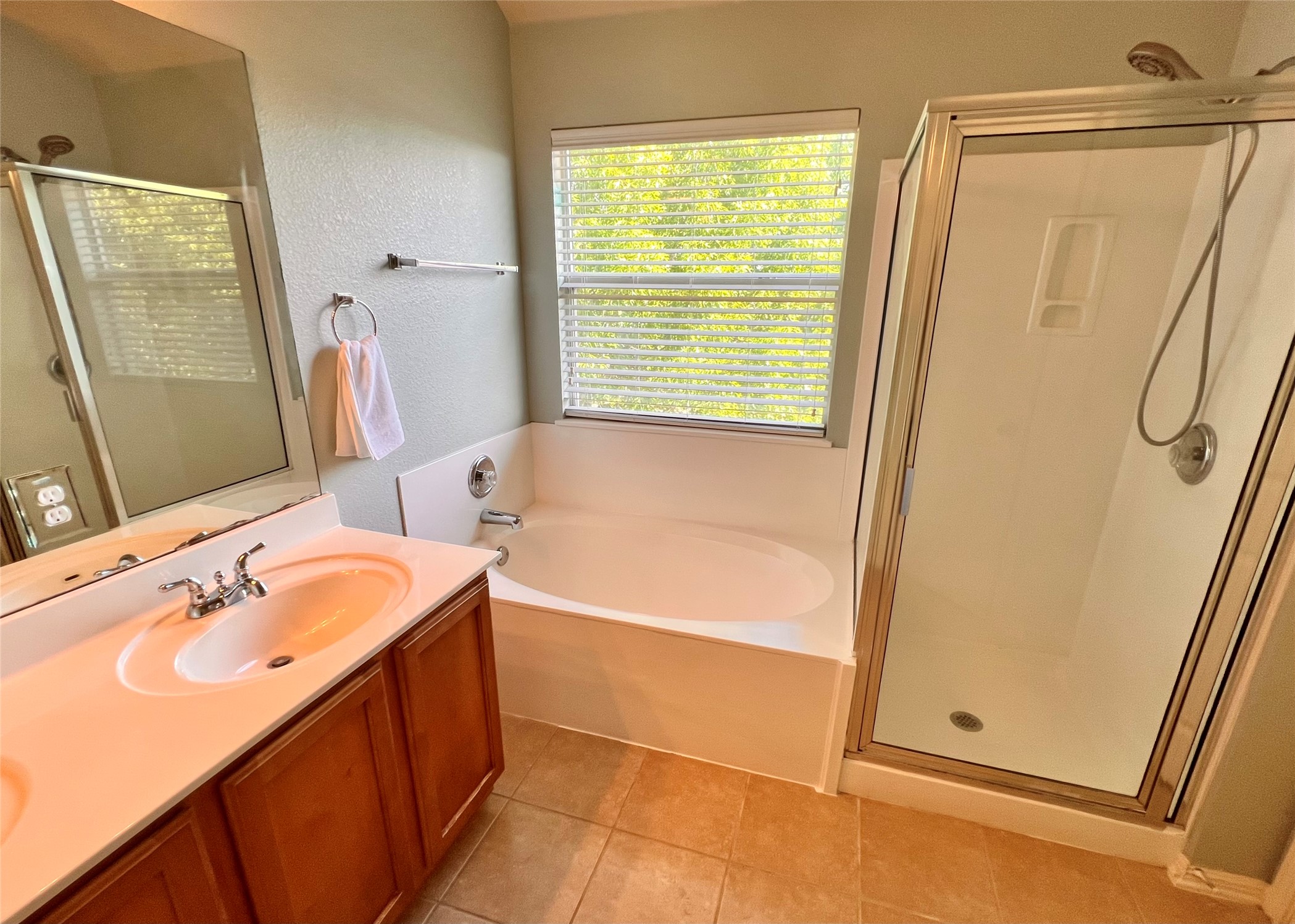 16616 Bridgefarmer Boulevard Pflugerville, TX 78660 - Photo 19 of 36 a bathroom with a tub sink and a mirror