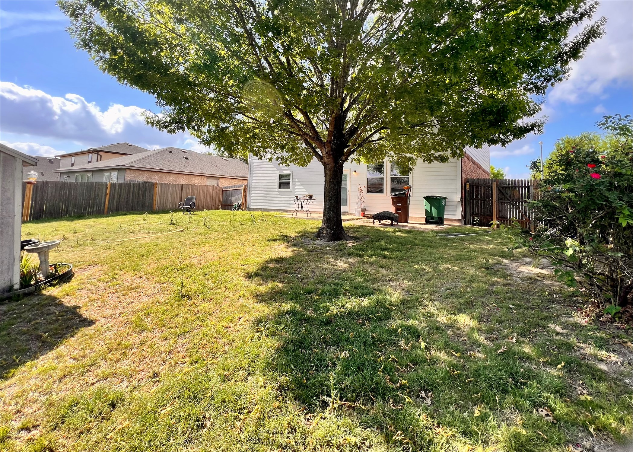 16616 Bridgefarmer Boulevard Pflugerville, TX 78660 - Photo 28 of 36 a tree in front of house with yard