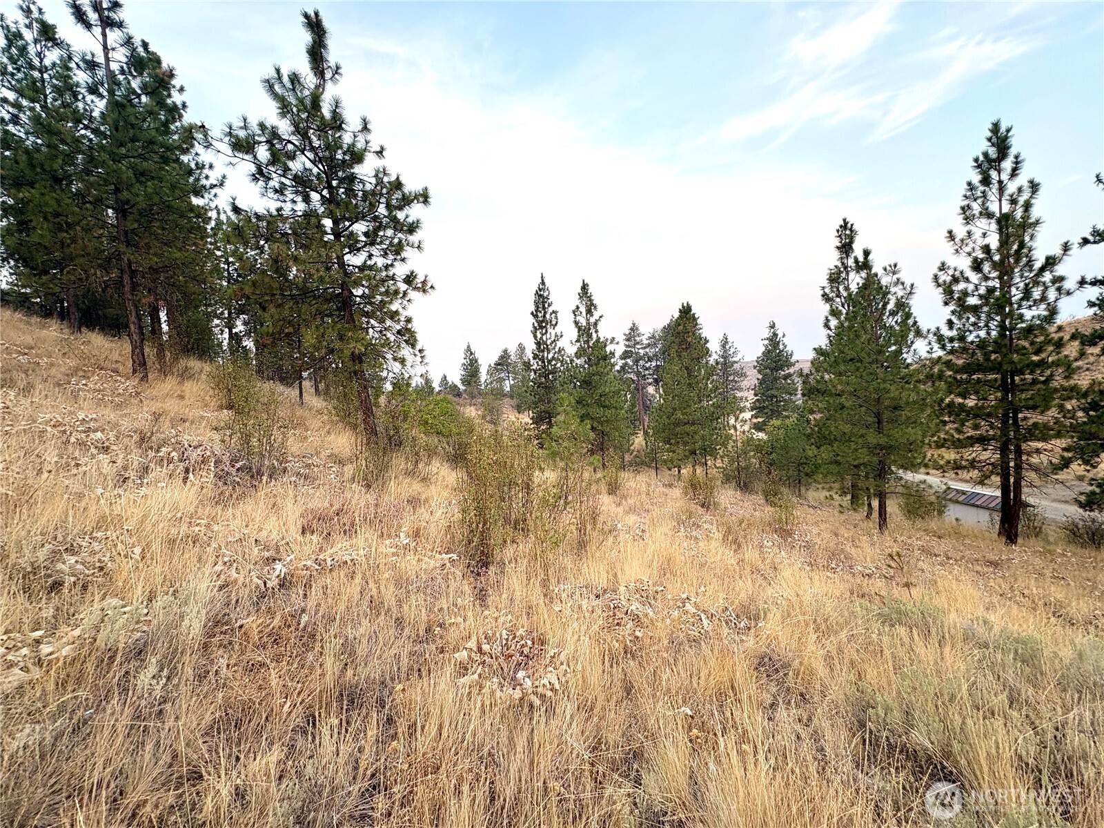 505 Peach Road Waterville, WA 98858 - Photo 38 of 39 Gallery Image 38