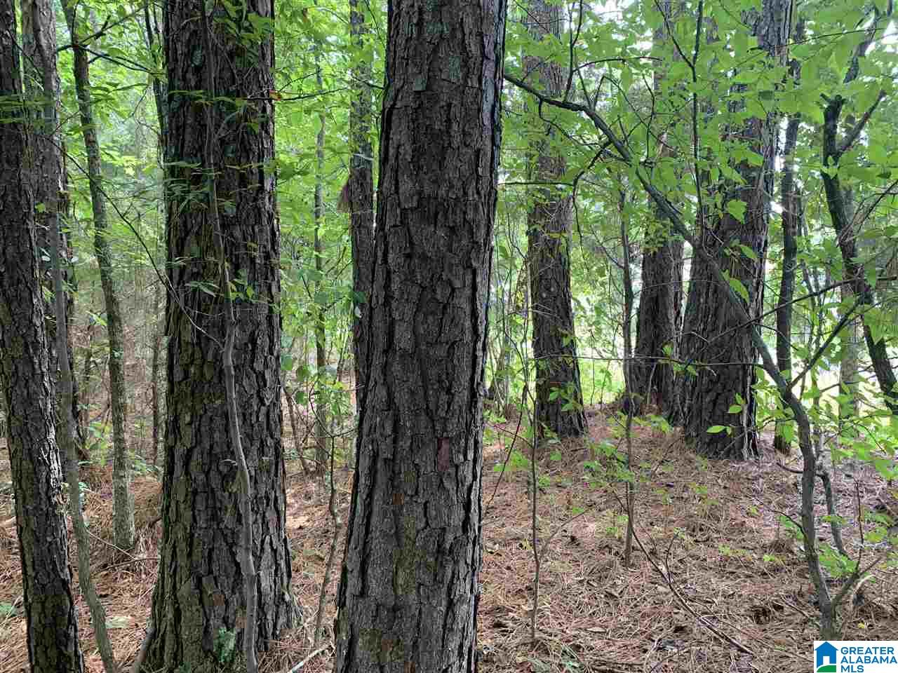 125 Running Deer Road, Unit 20 Talladega, AL 35160 - Photo 9 of 10