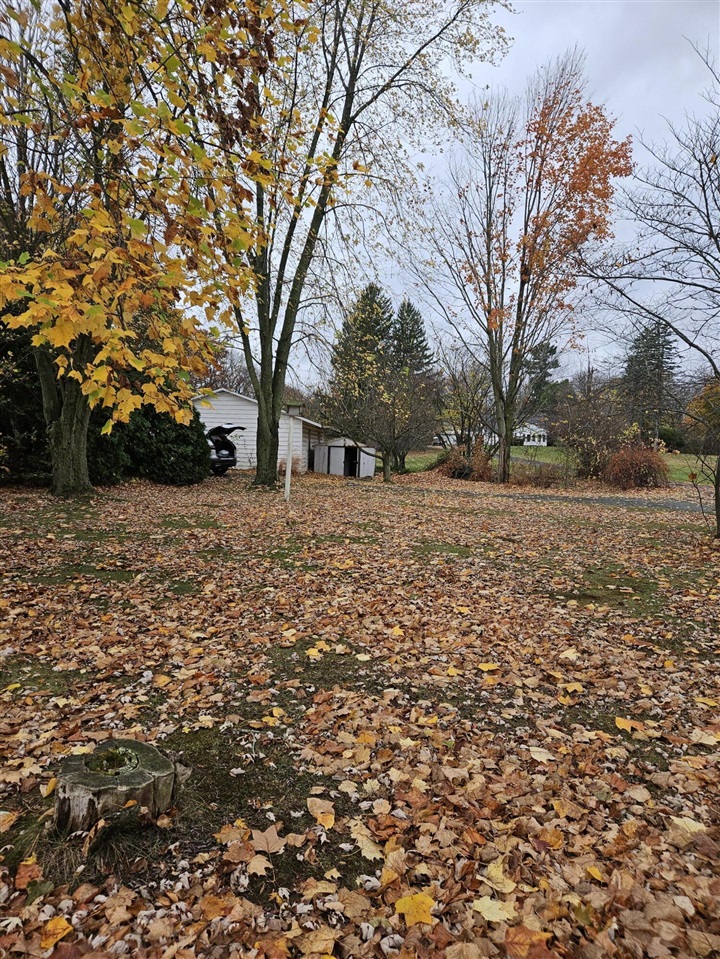 10019 M-99 Road Albion, MI 49224 - Photo 5 of 21