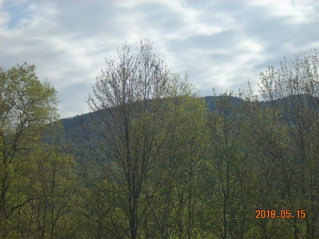 288 Stinson Lake Road Rumney, NH 03266 - Photo 12 of 35