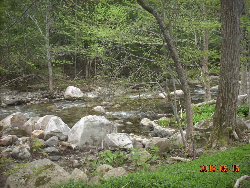 288 Stinson Lake Road Rumney, NH 03266 - Photo 13 of 35