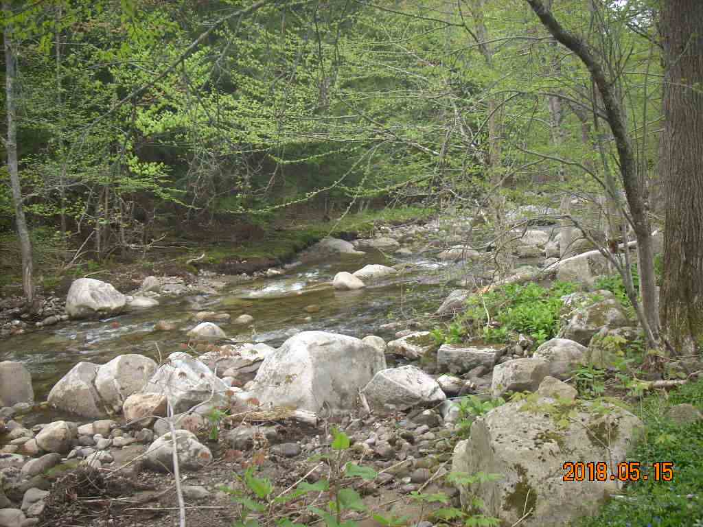 288 Stinson Lake Road Rumney, NH 03266 - Photo 23 of 35