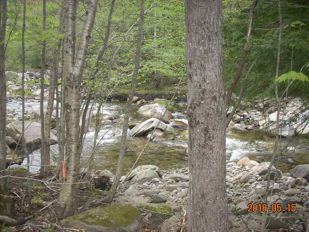 288 Stinson Lake Road Rumney, NH 03266 - Photo 5 of 35