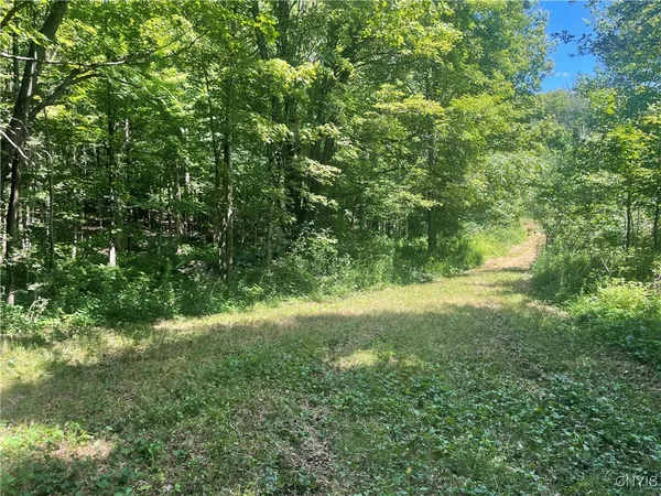 $45,000 | 0 Meirs Road, Williamstown, NY 13493