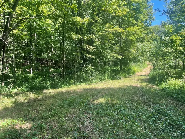$50,000 | 0 Meirs Road, Williamstown, NY 13493