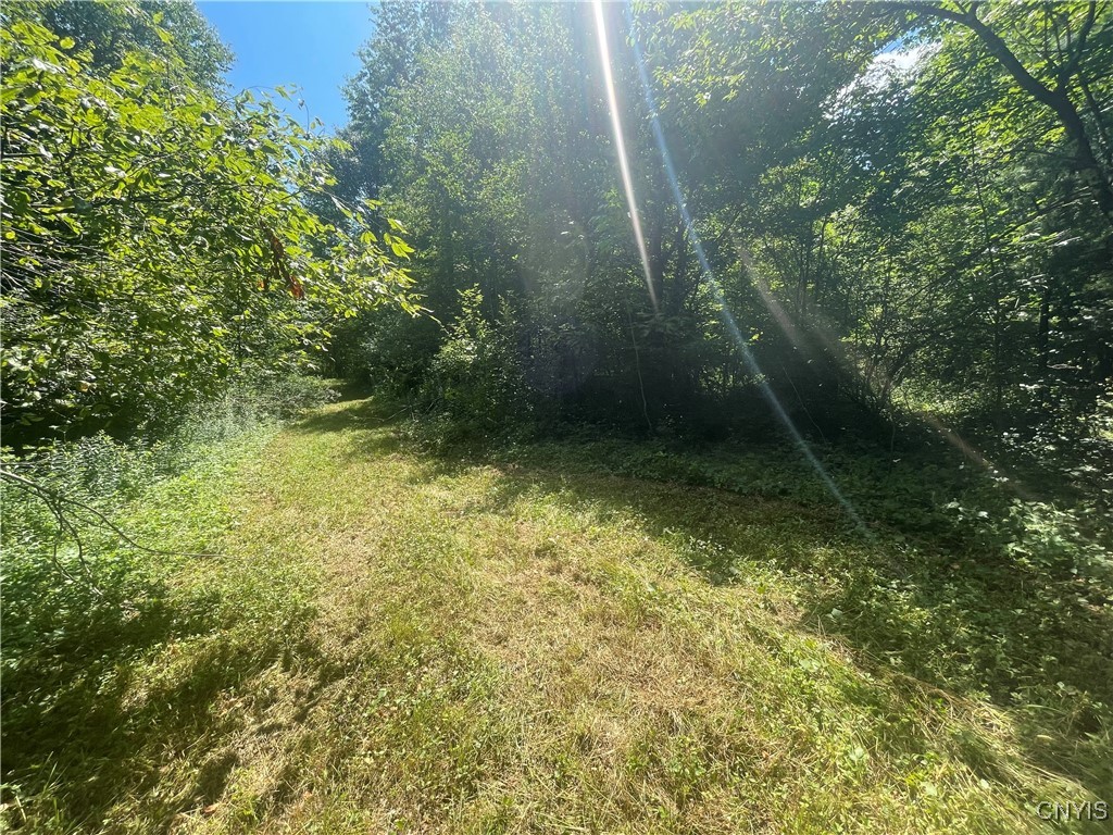 0 Meirs Road Williamstown, NY 13493 - Photo 3 of 11