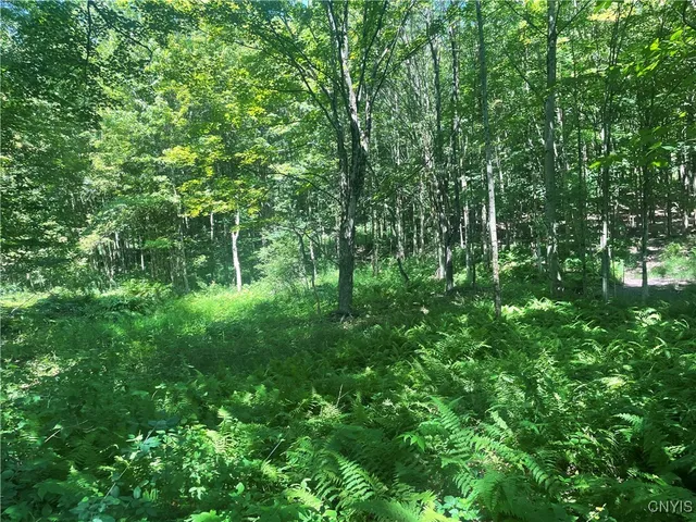 $50,000 | 0 Meirs Road, Williamstown, NY 13493